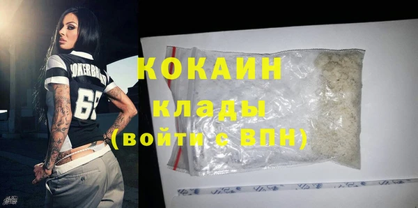PSILOCYBIN Новокубанск