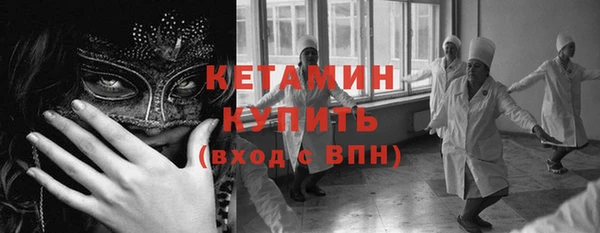 сатива Новозыбков