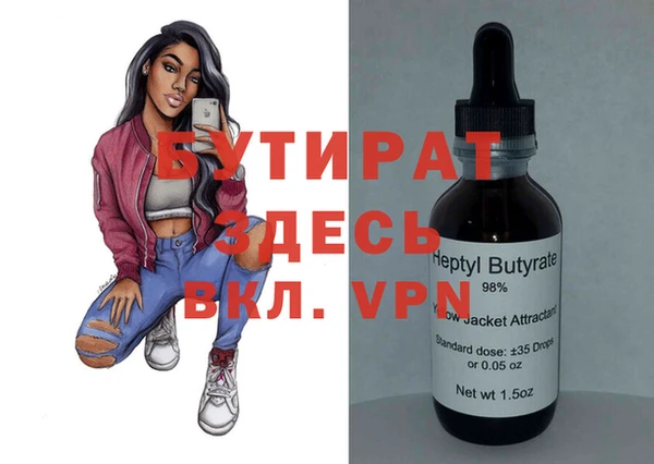 сатива Новозыбков