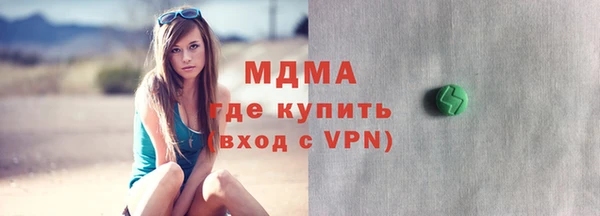 сатива Новозыбков