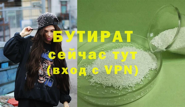 сатива Новозыбков
