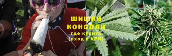 PSILOCYBIN Новокубанск