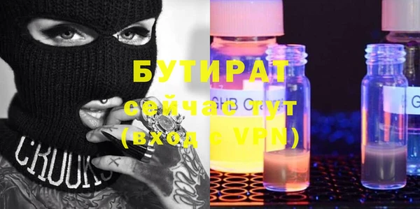 сатива Новозыбков